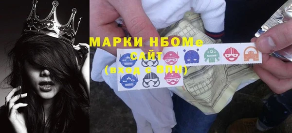 spice Инта