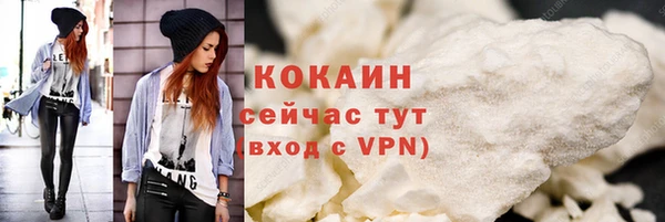 spice Инта