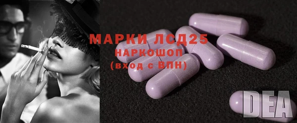 spice Инта
