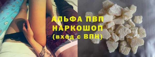 spice Инта