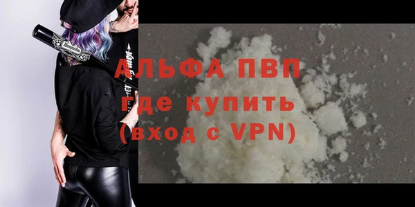 spice Инта