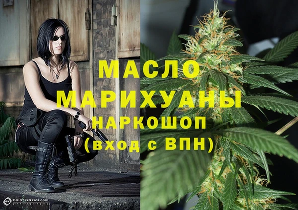 spice Инта