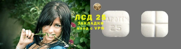 spice Инта