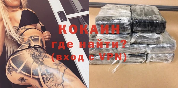 spice Инта