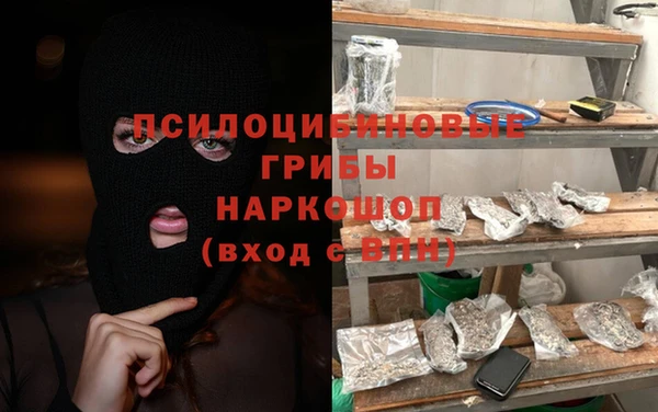 spice Инта