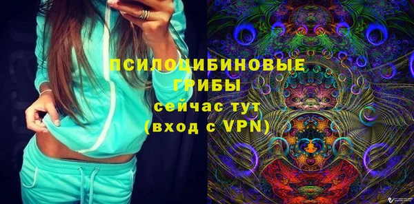 прущая мука Инсар