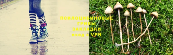 прущие крисы Иннополис