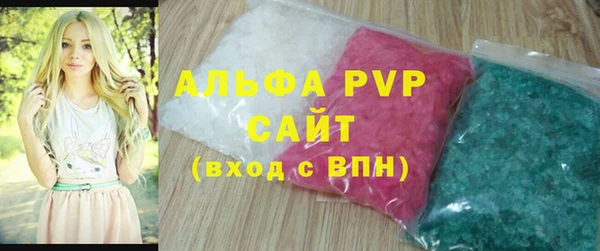 spice Инта