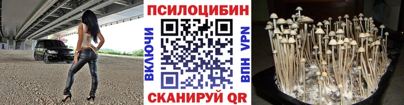 где можно купить наркотик  Нефтеюганск  Псилоцибиновые грибы ЛСД 